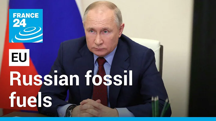 War in Ukraine: EU details plans to reduce reliance on Russian fossil fuels • FRANCE 24 English - DayDayNews