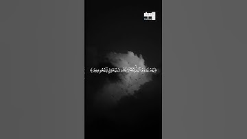 سورة الفرقان | القارئ حاتم المالكي