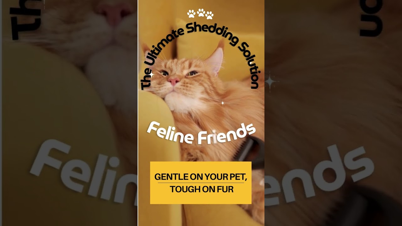 The Ultimate Shedding Solution