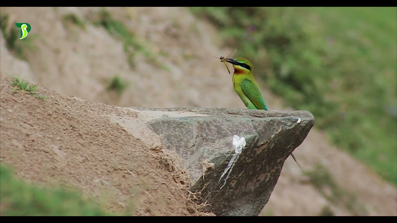 Highlights of Pakistani Landscape ft. TrulyPakistan