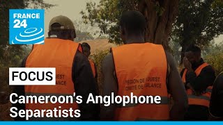 Cameroon's Anglophone crisis: Separatists threaten French-speaking regions • FRANCE 24 English