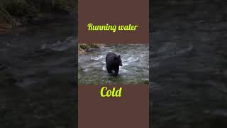 Running water colder than stationary at same temperature.