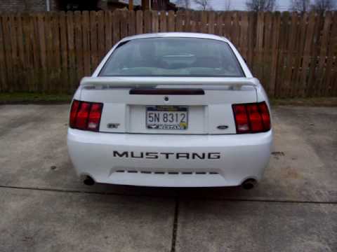 2002 White Mustang