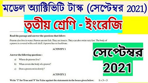 Class 3 English Model Activity Task Part 6 | Model Activity Task Class 3 English | september 2021