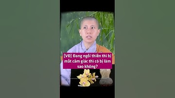 [VĐ] Đang ngồi thiền thì bị mất cảm giác thì có bị làm sao không? - SC. Giác Lệ Hiếu | Vườn An Yên