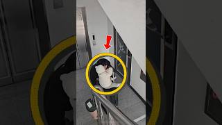 Kapıyı Açtı, Karşısında Bunu Gördü... 😱👶