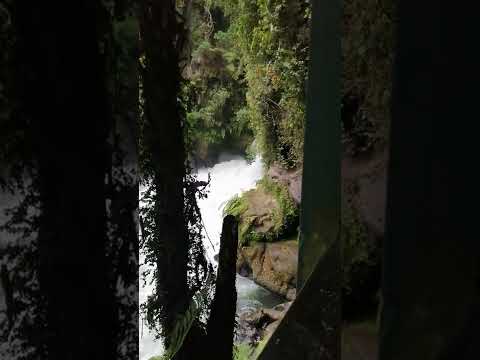 Okere Falls and