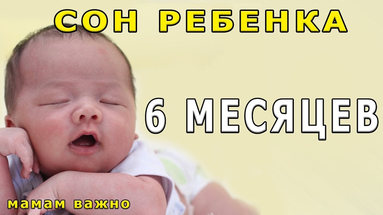 Осаго на 6 месяцев