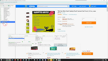 How to scrape a website with Chromium CEF (WBAppCEF)