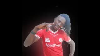 2024`NYANDA MASAYU MAJESHI 0622271741 2024