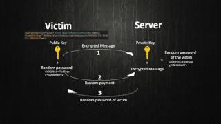 Ransomware analysis Venus Locker