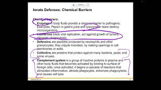 Becker Ch16 Part 2 Welsh Holes HumanA&P 2024 Release PPT Accessible
