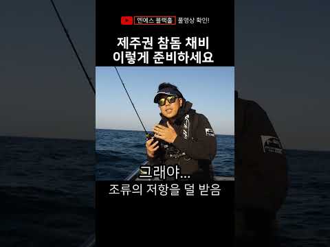 제주권 깊은 수심의 참돔 타이라바 기본 채비 정리