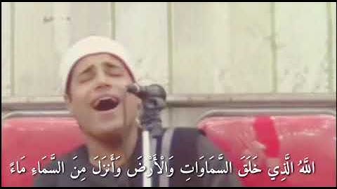 القارئ محمد أيمن عبد العزيز