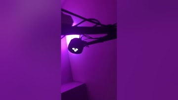 Adj RGBW4C light controller review