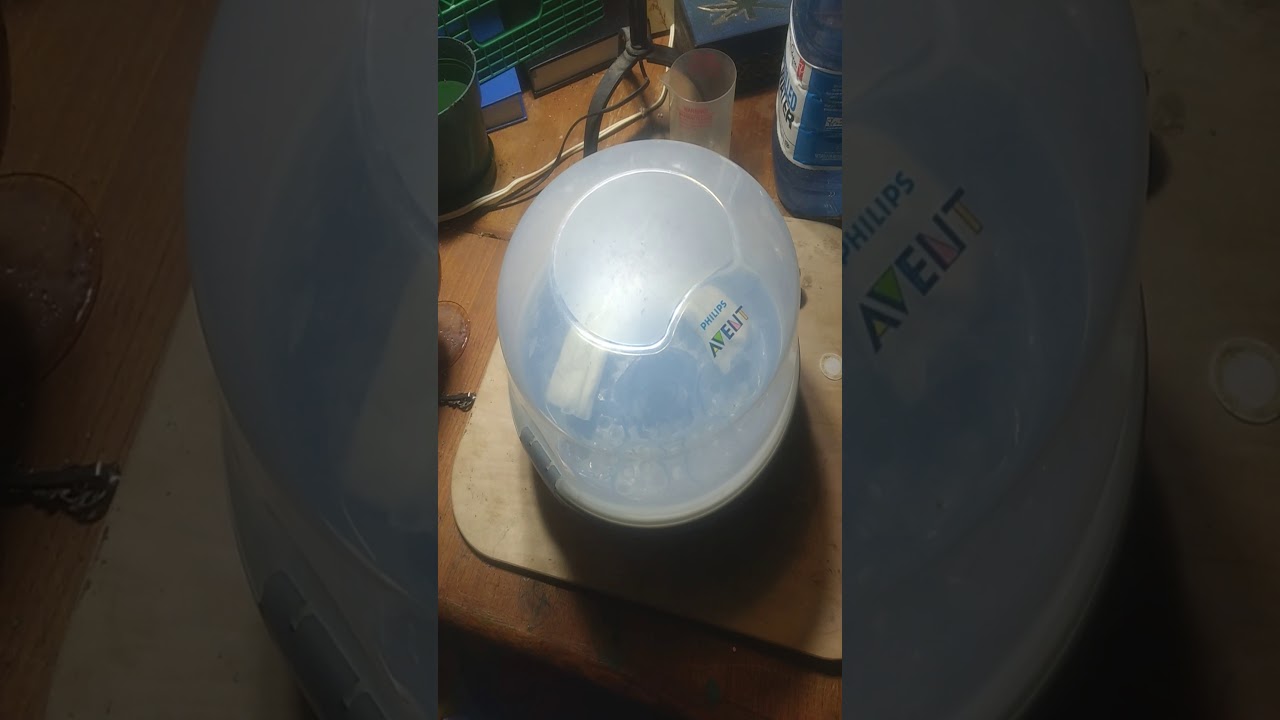 Germinating my seeds, part 2!