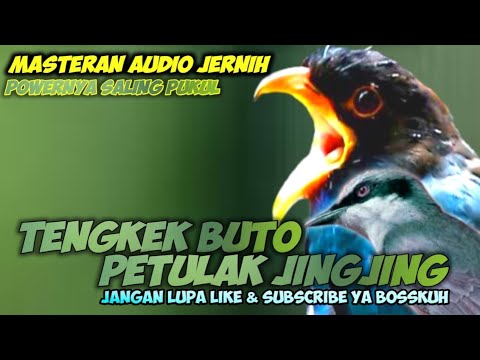 MASTERAN AUDIO JERNIH TENGKEK BUTO VS PETULAK JINGJING || TENGKEK BUTO GACOR || PETULAK JINGJING