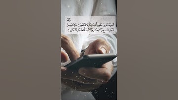 حالات واتس اب قران ||سورة النحل |القران الكريم🌸💜