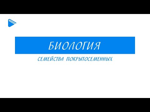 6 класс - Биология - Семейство покрытосеменных