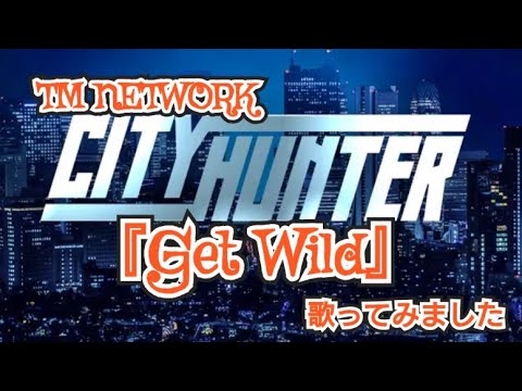 TM NETWORK(TMN)／Get Wild【歌ってみた】cover by なんちゃんねる