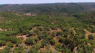 Terreno | Plot of Land @Grândola, Setúbal - JLL