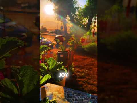 صباح الخير للجميع الحضور الواعي التحفيز حديث حقيقي