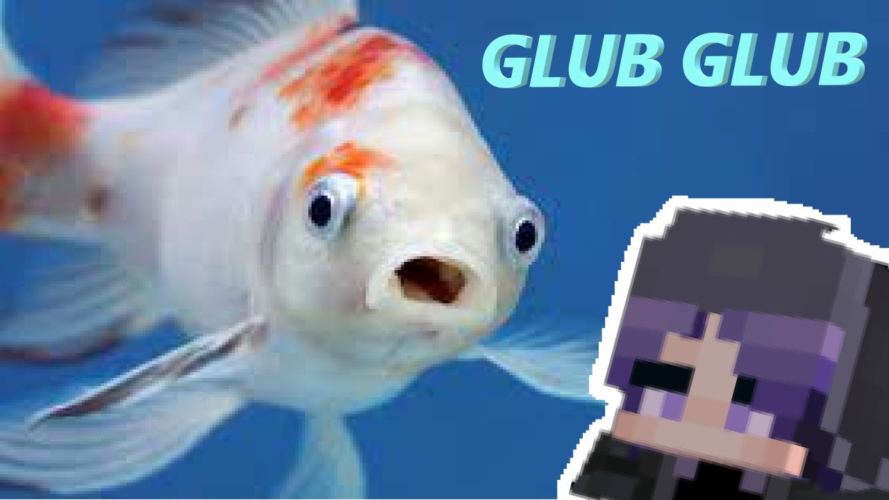 A Minecraft Fish drives people crazy - YouTube
