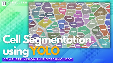 Cell Segmentation: Automate Analysis with AI & Computer Vision