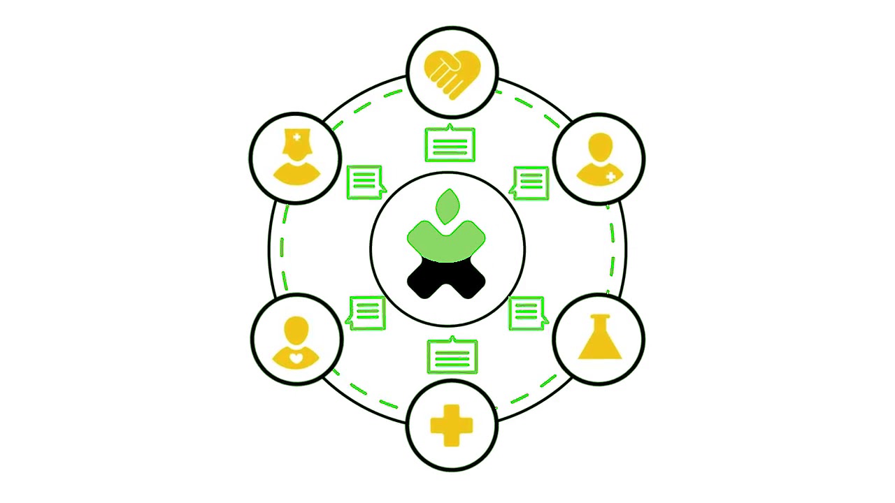 patientory wallet for cryptocurrency