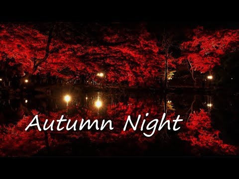 Autumn Night