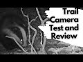APEMAN H80 Trail Camera for filming Wildlife - Camera review and test