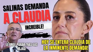 Salinas Demanda A La Presidenta