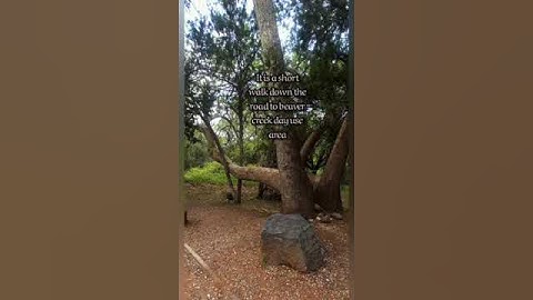 Stop #166 Soda Springs Beaver Creek FREE camping near Sedona Camp Verde Flagstaff Hyw17 #rvlife