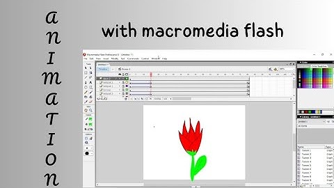Flower animation from bud to blossom with macromedia flash || Assignment: Logic & Function