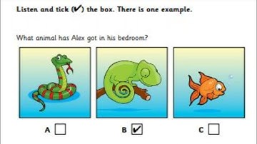 Listening, starters part 3