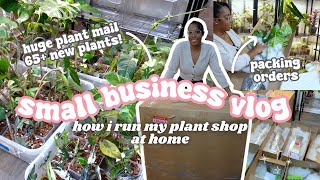 Small Business Vlog🪴: Unboxing 65 Rare House Plants💚📦, My Houseplant Business Routine, Huge Restock