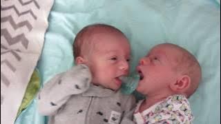 PERTEMPURAN DOT KEMBAR BAYI BARU LAHIR
