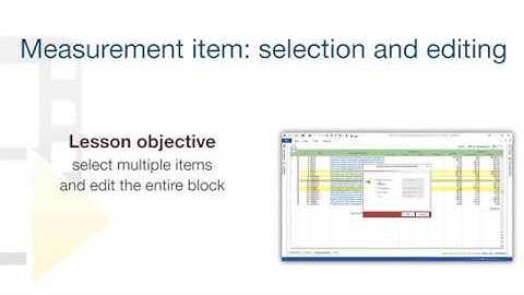 PriMus Tutorial - Measurement item: highlight and edit - ACCA software