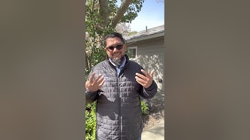 Truth About Building AI Startups 2O24 | Driven by Passion, Inspired by Steve Jobs | AhmedReza.ai