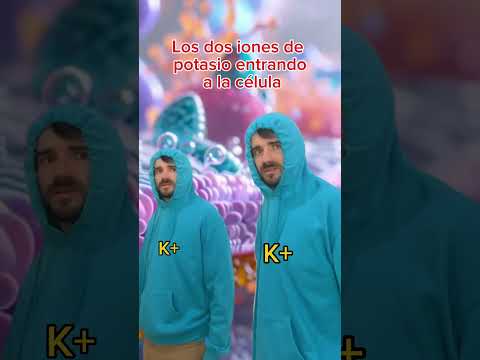 Buah, aquí hay potencial 🔋#sodiopotasio #membrana #celula #bioquímica