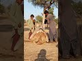 بسبب ندرة المياه في صحراء ثار يتعين على المرء أن يقطع شوطا طويلا للعثور على الماء الصحراء بسبب ندرة المياه في صحراء ثار يتعين على المرء أن يقطع شوطا طويلا للعثور على الماء الصحراء