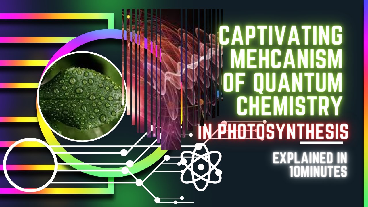 Quantum Chemistry: The Secret Behind Photosynthesis