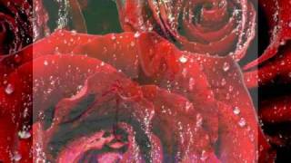Video thumbnail of "Flowers for you - Rondo veneziano"