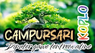 CAMPURSARI KOPLO TERENCO PALING COCOK UNTUK TEMAN SANTAI  NGOPI