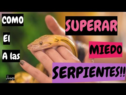 Video: Cómo Dejar De Tener Miedo A Las Serpientes