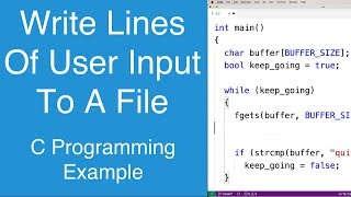 Write Lines Of User Input To A File | C Programming Example