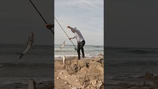 Usando Cinnetic Sky Line Crb4 Ds 7000