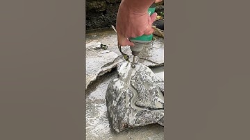 Đi rãnh đá ghép cây #shorts