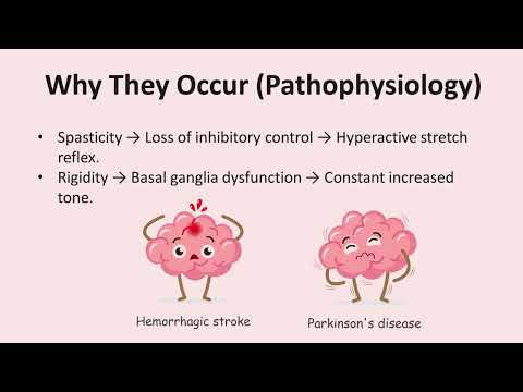 Spasticity vs Rigidity | Easy to Understand
