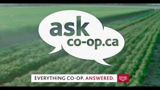What is 4R Nutrient Management?
